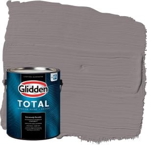 Glidden Paint in Pewter Mug